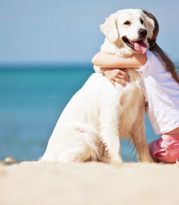 Mädchen umarmt Hund am Strand