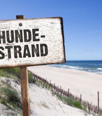 Hundestrand an der Nordsee