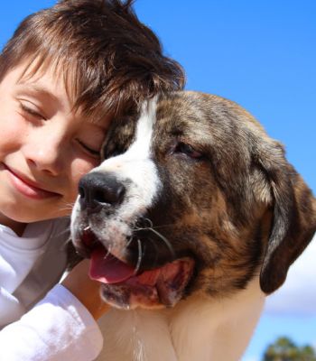 Junge glücklich mit seinem Hund