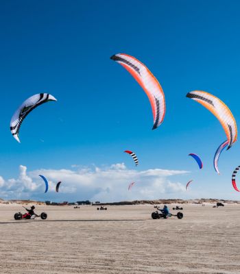 Windsegler am Strand der Nordsee