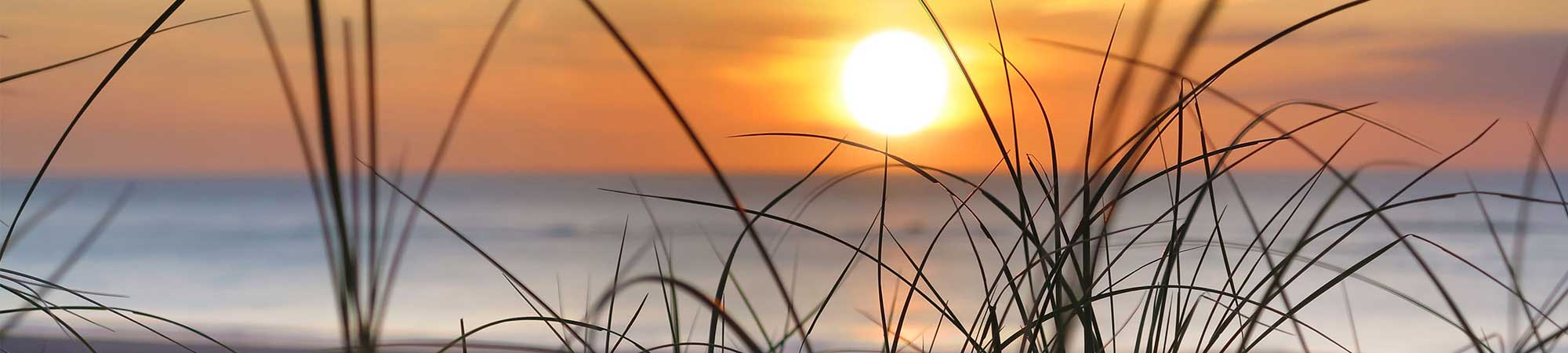 Blick durchs Schilf zum Sonnenuntergang über der Nordsee